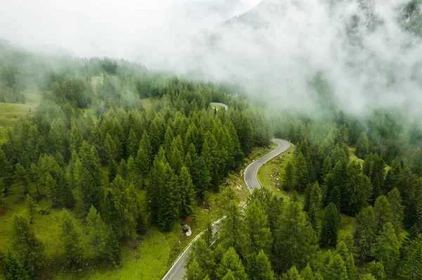 Vue Aérienne Haute Forêt Verte Conifères Couverte Nuages Pied Montagne — Photo