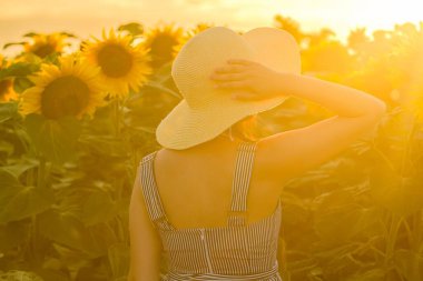 Hasır şapka takan genç bir bayan büyüleyici ayçiçeğinin önünde dikiliyor..