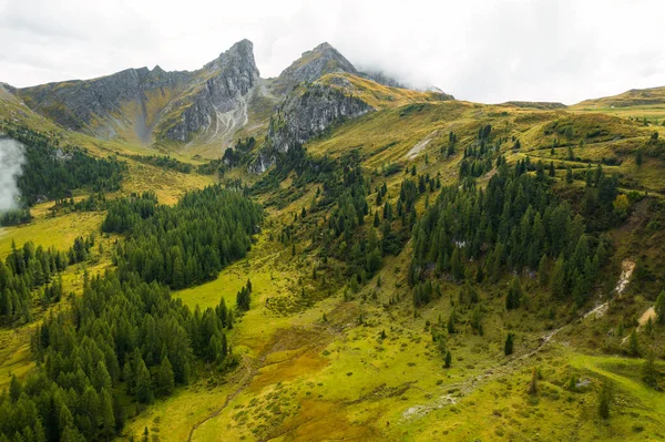 Πράσινη Κοιλάδα Ψηλά Δέντρα Και Οροσειρά Στο Βάθος — Φωτογραφία Αρχείου