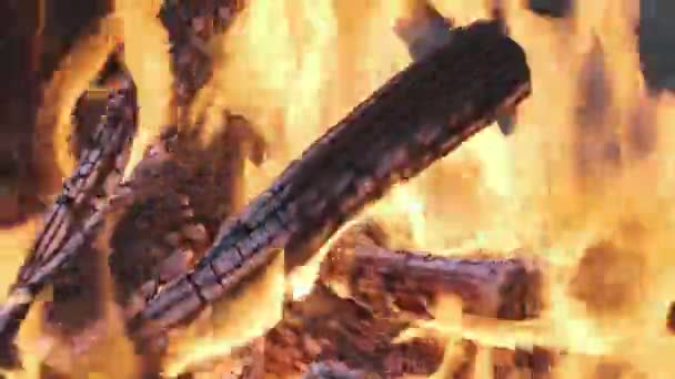 Вогняні Ворота Розтріскуванням Полум Кидають Тепле Сяйво Наповнюють Повітря Запахом — стокове відео