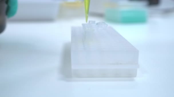 Close Performing Chemical Reaction Plastic Test Tube Using Automatic Pipette — Stock Video