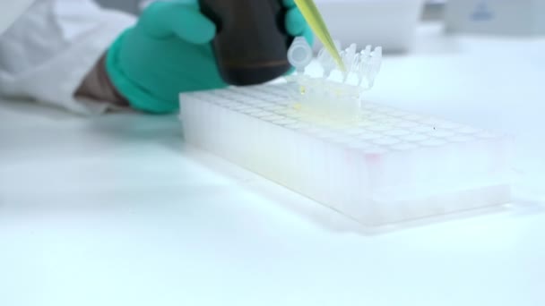 研究室の労働者は 液体サンプルをピペットディスペンサーでガラス管に注ぎます 科学者はガラス製品を使って化学テストを行う — ストック動画