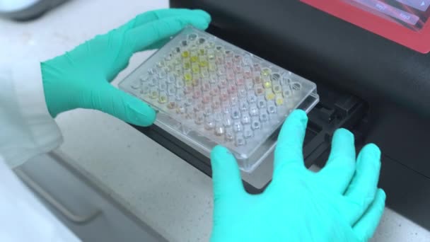 Empregando Fotômetros Microplacas Cientista Envolve Exame Meticuloso Amostras Dentro Placas — Vídeo de Stock