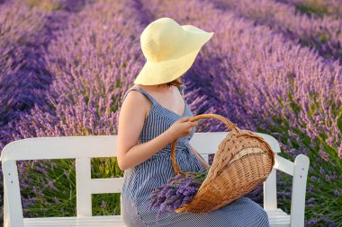 Hasır şapka takan ve sundress giyen kadın canlı bir lavanta tarlasına kurulmuş bankta oturuyor, elinde çiçeklerle bir sepet tutuyor.. 