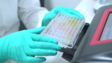 Bilim adamı, ELISA 'yı immünoloji analizi için test eden okuyucuya mikro plakayı yerleştiriyor.