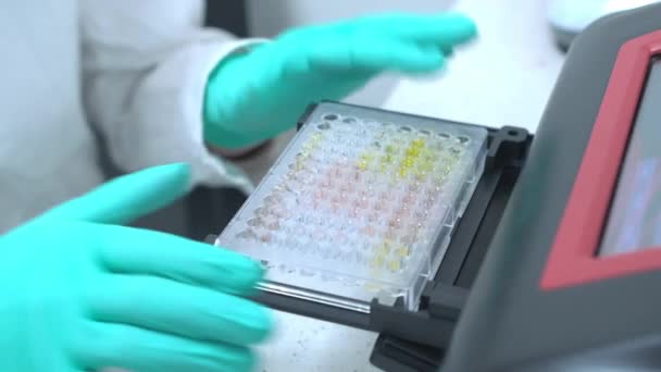 Scienziato Che Preleva Micropiastra Dal Lettore Dopo Aver Eseguito Test — Video Stock