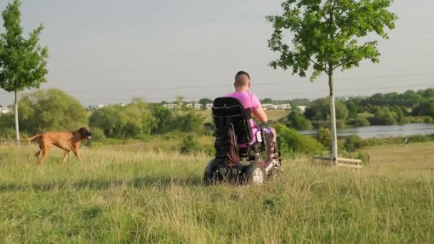 Mężczyzna Wózku Inwalidzkim Różowej Koszulce Spaceruje Psem Łące Parku Słonecznym — Wideo stockowe
