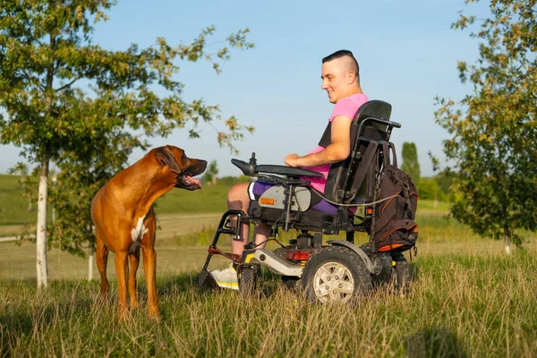 Brown dog looks at man wearing pink t-shirt in wheelchair with leg injury after car accident. Owner enjoys spending leisurely stroll with domestic dog on green meadow