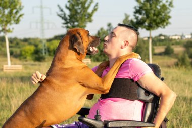 Parkta, tekerlekli sandalyedeki genç bir adam köpeğiyle oynaşıyor..