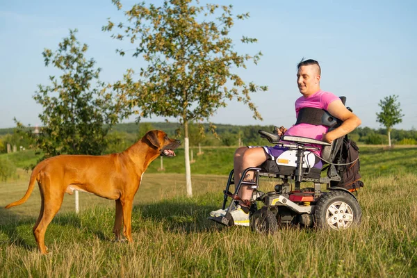 Man in wheelchair talks with domestic dog sitting on grass. Male owner with disability enjoys spending weekend with dog against countryside view