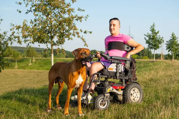 A wheelchair user with a disability and their service dog enjoying the garden