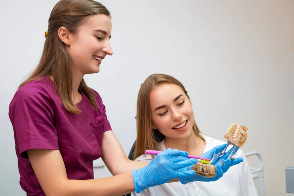 A skilled dental hygienist instructs a young woman on the way of teeth cleaning, using a model of teeth and a toothbrush