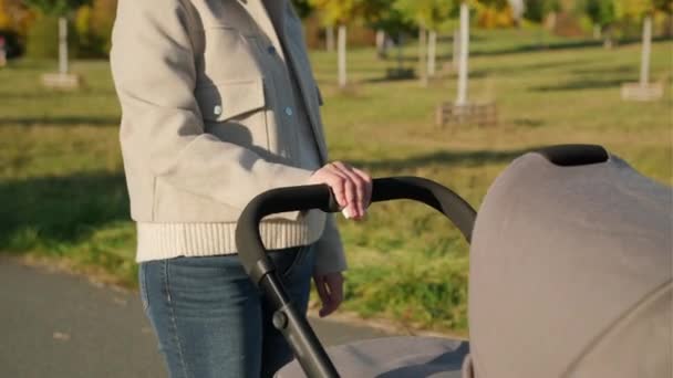 Anne Nazikçe Sallanıyor Bebek Arabasıyla Parkta Bebekle Rahatça Yürüyor Kadın — Stok video