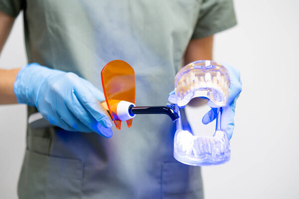 Dentist demonstrates how to use dental curing light on model jaw. 