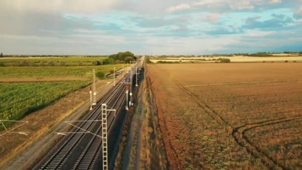 Trem Azul Move Firmemente Através Vasta Extensão Prado Movimento Locomotiva — Vídeo de Stock
