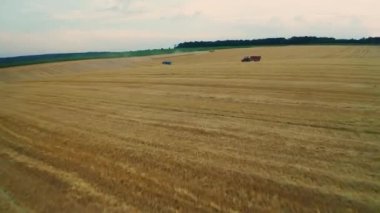 Sınırsız tarım alanı traktörlerle ve gün batımında hava manzarasında hasat makinesini birleştirin. Modern makineler tarım arazilerinde olgun tahıl mahsullerini topluyor