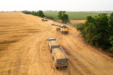 BERLİN, ALMANY - 15 HAZİRAN 2023: Boş alan antenleri boyunca boru sürücülerini boşaltmak ile hasat makinesini birleştirin. Hasat makinesi yaz akşamları tarım arazisindeki işini bitiriyor