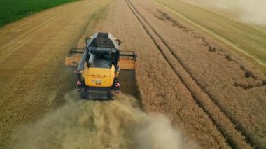 BERLİN, Almanya - 15 HAZİRAN 2023: Sarı hasat biçme makinesi buğdayı alan hava görüşünde daha keskin çubukla birleştirir. Çiftlik makinesi kırsal kesimlerde tahıl hasadı topluyor. Kırsal yaşam