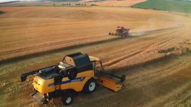 BERLİN, ALMANY - 15 HAZİRAN 2023: Güçlü biçerdöverler çiftlik alanı hava manzarasında tahıl topluyor. Kırsal kesimlerde ekilen bitki kültürlerinde kullanılan tarım makineleri