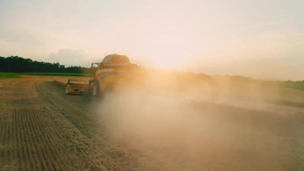 ベルリン ジェルマン ヨルダン 2023 現代は サンセットの空中ビューで 農業分野でリーパーと熟した小麦を組み合わせています 田舎で作動するわらチョッパー機械が付いている農村の風景 — ストック動画