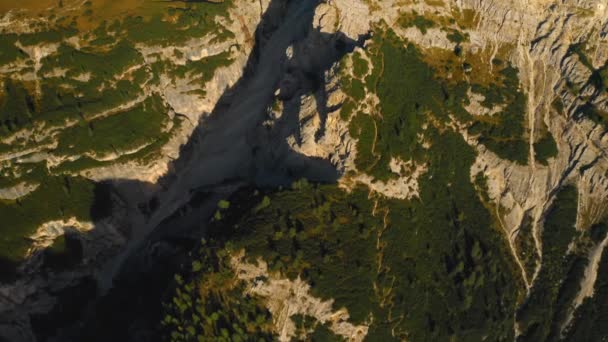 意大利阿尔卑斯山中美丽的拉瓦雷多城堡的空中风景 展现了一座覆盖着茂密树木的雄伟的山 — 图库视频影像