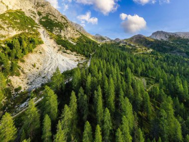 Yüksek Noktadan Görkemli Dağlar ve Yeşil Orman Manzarası.