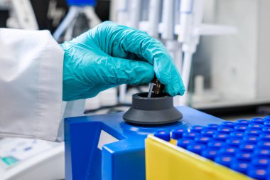 Bir kimyager, HPLC analizi yapmadan önce bir girdap karıştırıcı kullanarak örnekleri karıştırır.