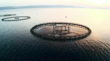 Hırvatistan 'da günbatımında deniz çiftliklerinde modern balık üretimi. Uygun balık üretimi ve büyüyen deniz türleri için güvenli ortamlar