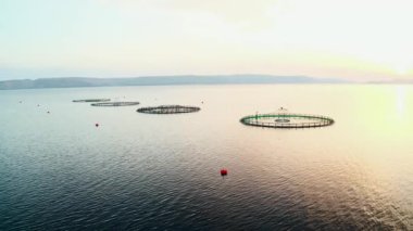 Hırvatistan 'daki çiftliklerde gün batımında etkin balık üreme kafesleri. Denetimli ve verimli balıkçılık ortamını korumak için yuvarlak ağların kullanımı