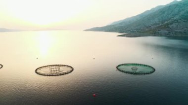 Yuvarlak ağ çevreli iyi yapılandırılmış Hırvat balık çiftliği. Güvenli kafesler içeren yenilikçi balık çiftçiliği altyapısı