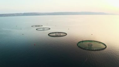 Sakin sularda yüzen balık çiftliği yapısı sakin bir denizin yanında gün doğumunda 