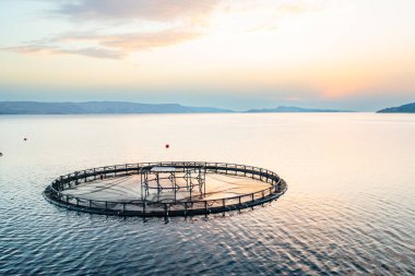 Gün batımında sakin sularda balık çiftliği, gösterişli su kültürleri ve doğal güzellikler..