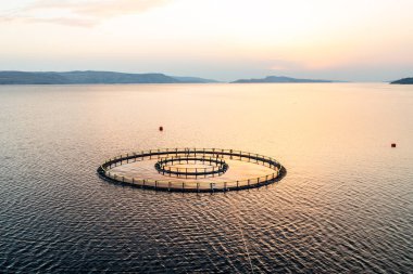 Gün batımında balık çiftliği, sakin sularda yuvarlak ağlar, su ürünleri teknikleri sergileniyor.. 