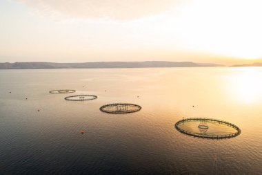 The tranquil waters of a lake host a circular fish farming facility during sunset clipart