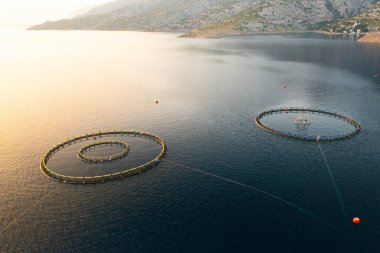 Gün batımında tepelerle çevrili sakin bir vücutta dairesel ağları olan balık çiftliği.. 