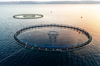 Yuvarlak çevreleyen havadan görüşlü Hırvat deniz balığı çiftliği. Sudaki gelişmiş balık çiftçiliği teknikleri üreme sürecini optimize etmektedir.