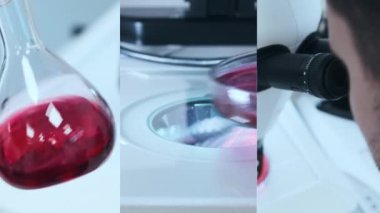 Video kolajı erkek bilim adamı mikrobiyoloji analizi için tarım medyasını hazırlıyor ve bir mikroskop kullanıyor 