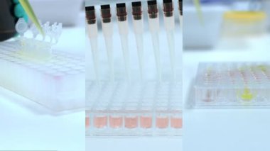 Mikro plaka ve çok kanallı Pipette kullanarak DNA 'nın biyoanaliz kolajı, test tüpleri. Laboratuvarda kimyasal analiz.. 