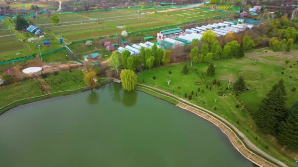 从Drone看克什米尔谷地 达尔湖 Nishat花园和郁金香花园美景 — 图库视频影像