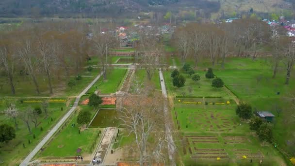 Prachtig Uitzicht Kashmir Valley Gulmarg Dal Lake Nishat Garden Tulip — Stockvideo