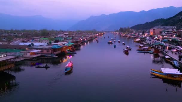 Beautiful View Kashmir Valley Gulmarg Dal Lake Nishat Garden Tulip — стокове відео