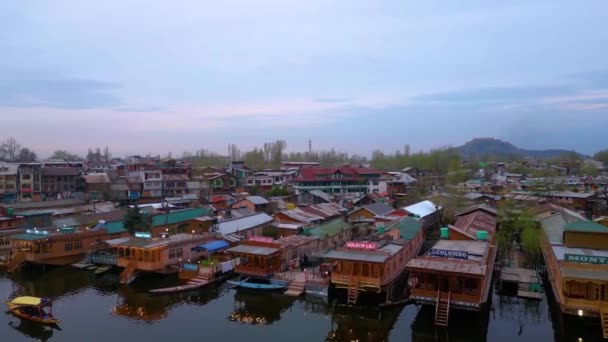 Beautiful View Kashmir Valley Gulmarg Dal Lake Nishat Garden Tulip — Stock Video