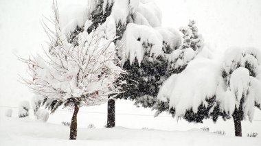 Kaşmir Vadisi Drone Manzarasında Yoğun Kar yağışıweather forecast  