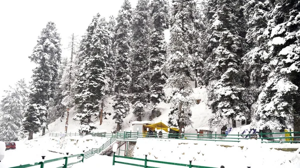 stock image Heavy Snowfalls in Kashmir Valley Drone View  