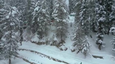 Kaşmir 'in güzel manzarası. Kar yağışı, Jammu ve Kashmir, Hindistan..