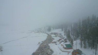 Kaşmir 'in güzel manzarası. Kar yağışı, Jammu ve Kashmir, Hindistan..
