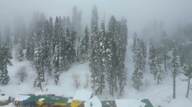 Kaşmir 'in güzel manzarası. Kar yağışı, Jammu ve Kashmir, Hindistan..