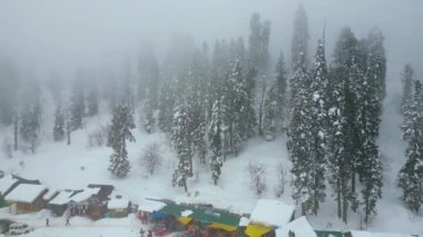 Kaşmir 'in güzel manzarası. Kar yağışı, Jammu ve Kashmir, Hindistan..