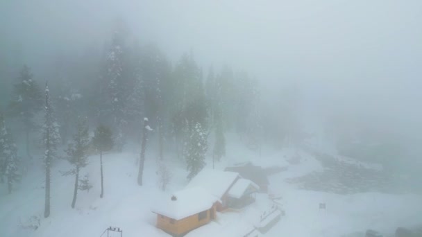 Kashmir Snowfall Jammu Kashmir 인도의 아름다운 — 비디오