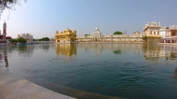 Templo Ouro Gurdwara Localizado Cidade Amritsar Punjab Índia — Vídeo de Stock